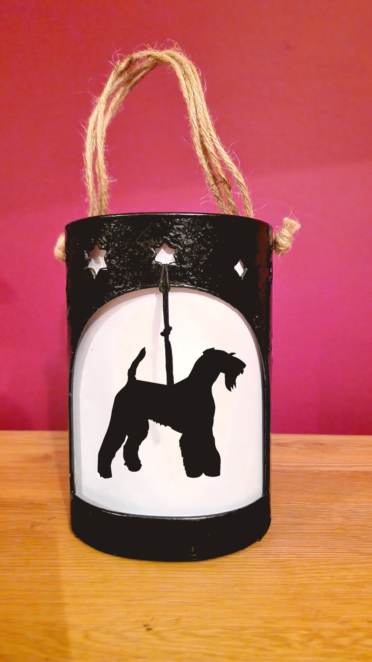 Airedale Starlight