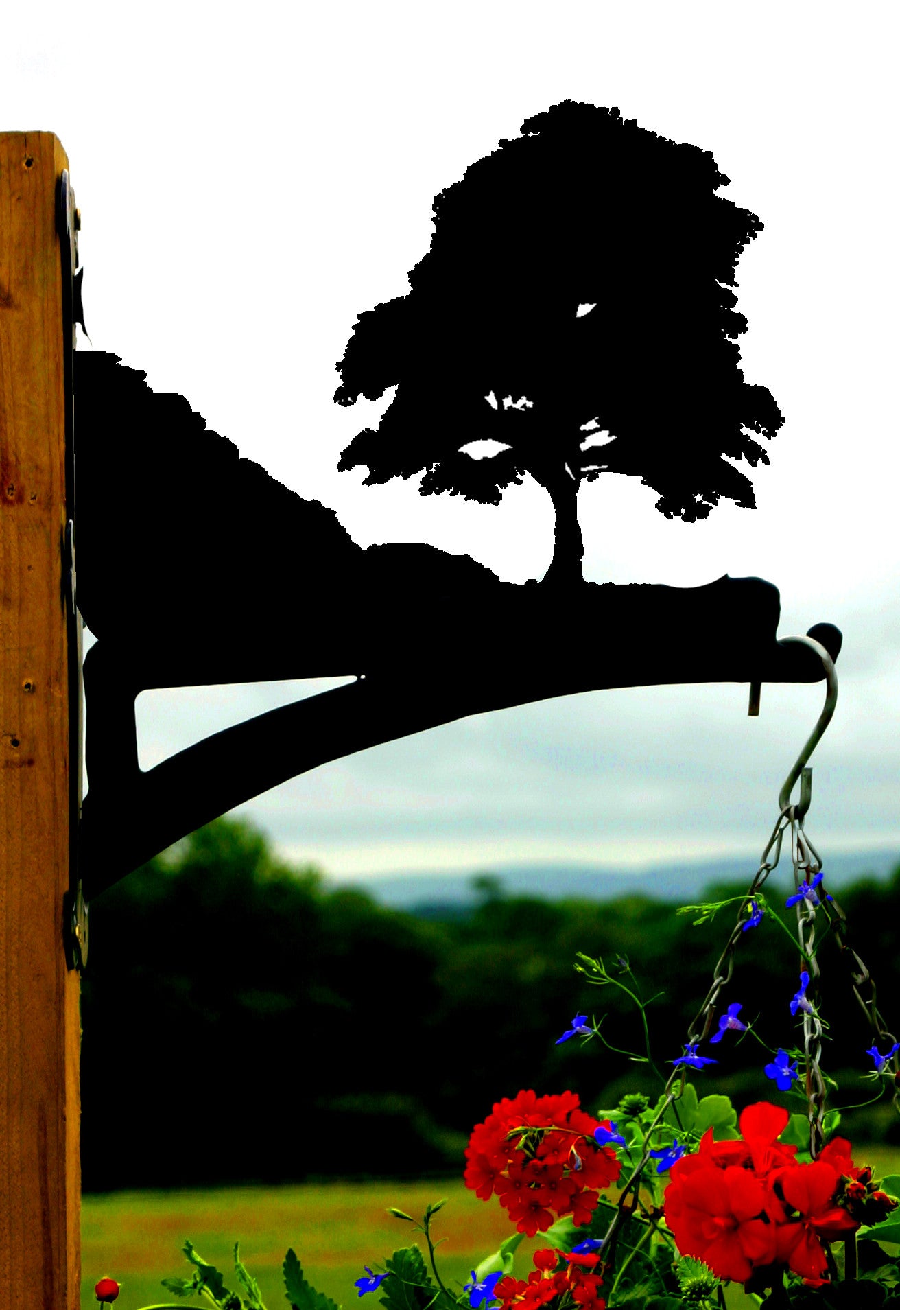 Sycamore Hanging Bracket
