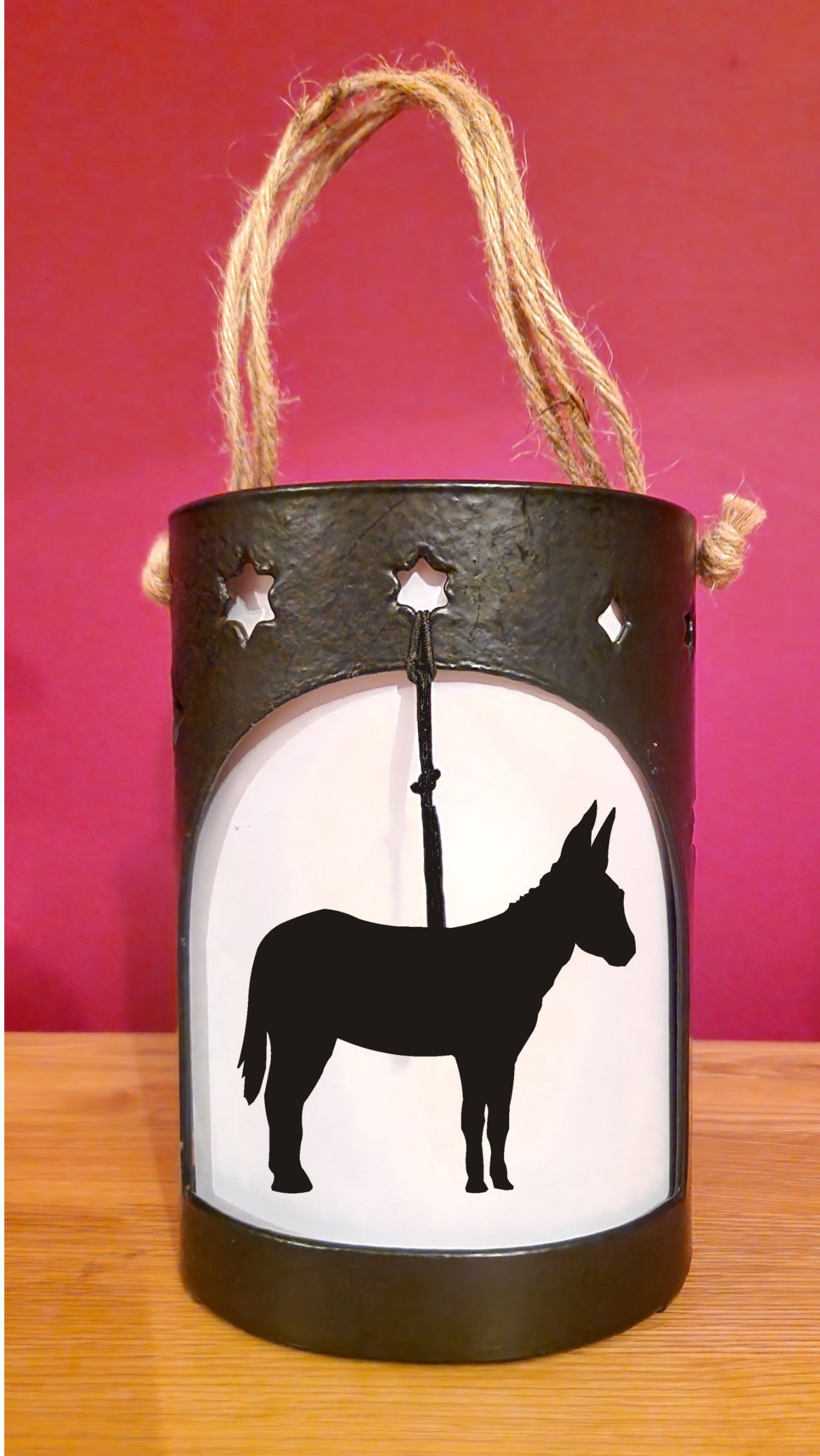 Donkey Starlight