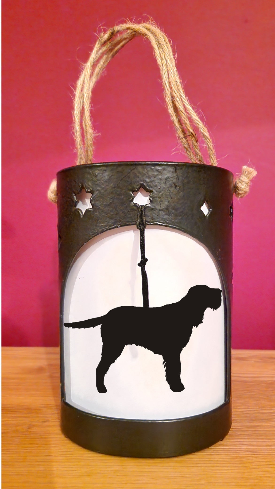 Italian Spinone Starlight The Profiles Range