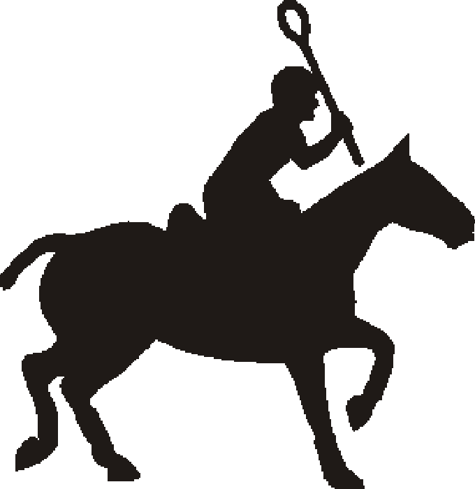 Polocrosse Stable Door Name Plates