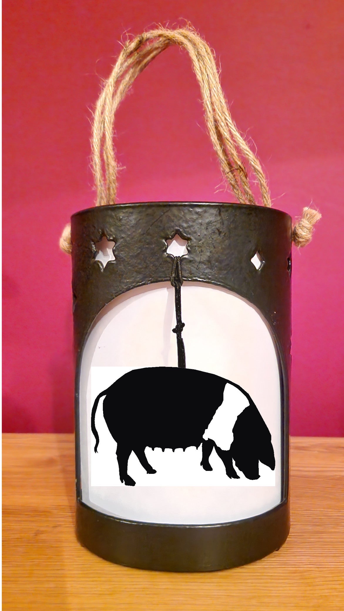Saddleback Pig Starlight