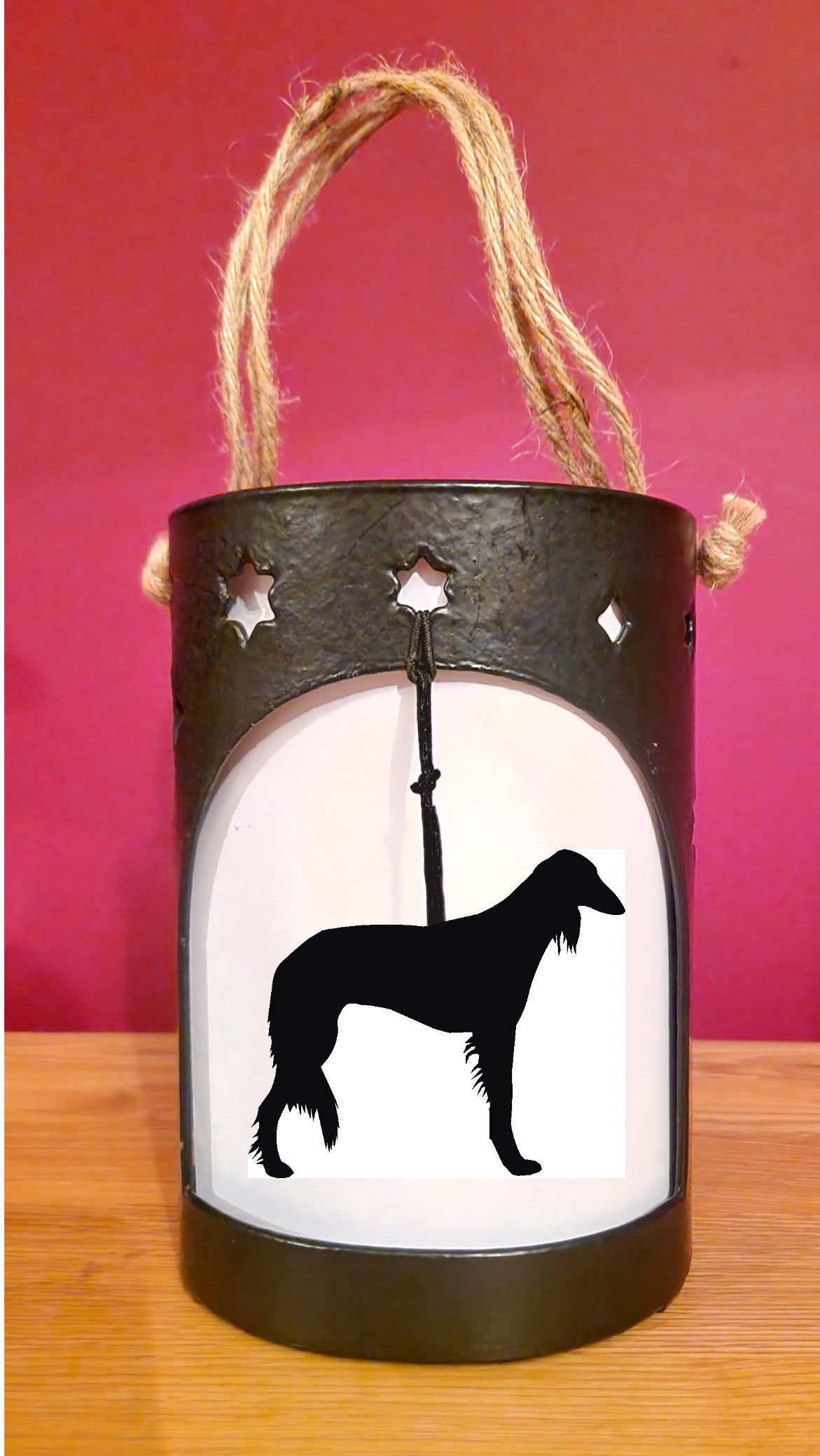 Saluki Starlight