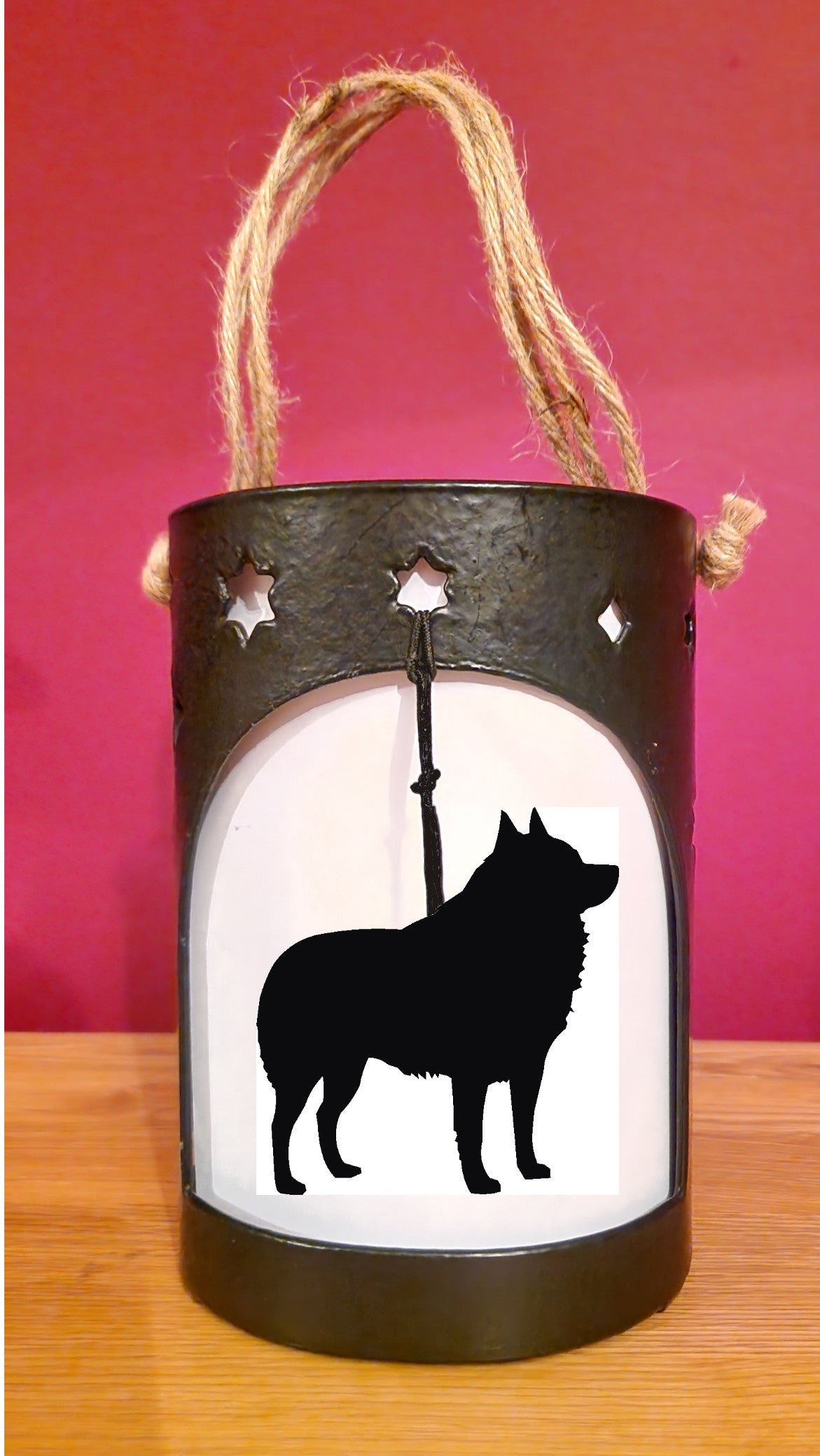 Schipperke Starlight