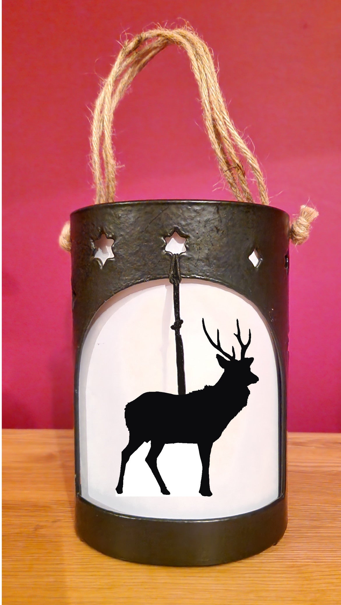 Sika Deer Starlight