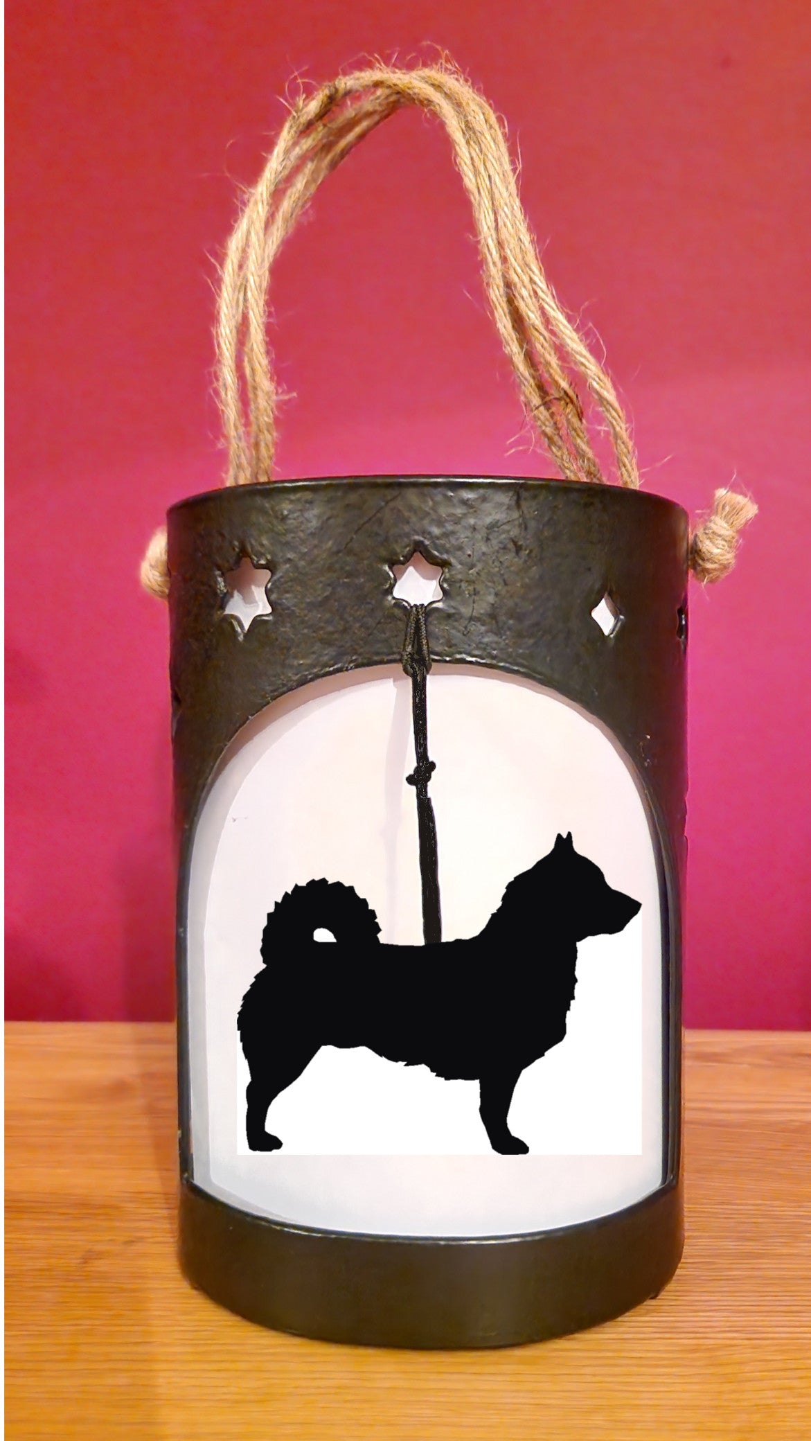 Valhund Starlight
