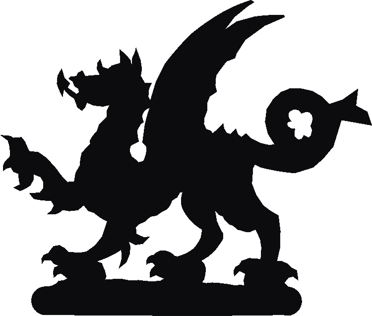 Welsh Dragon Hose Tidy