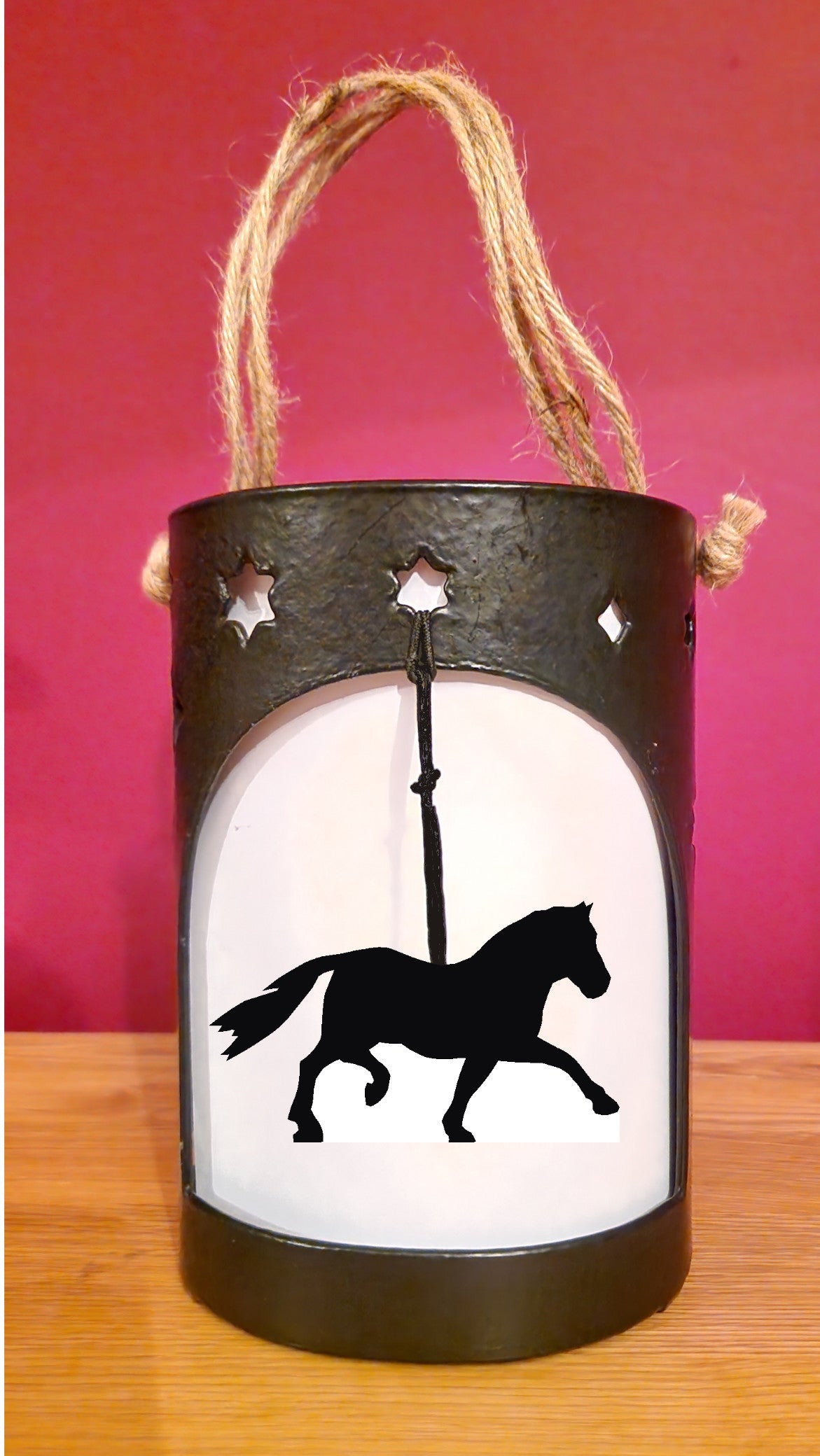Welsh Pony Starlight