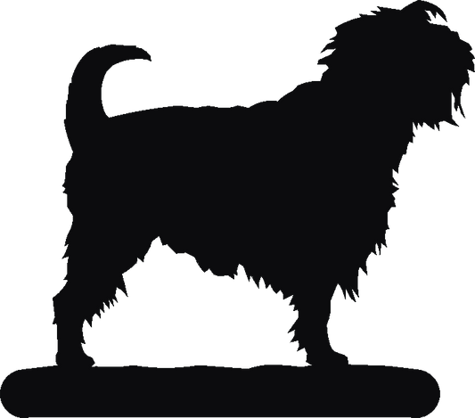 Affenpinscher Hand Stand