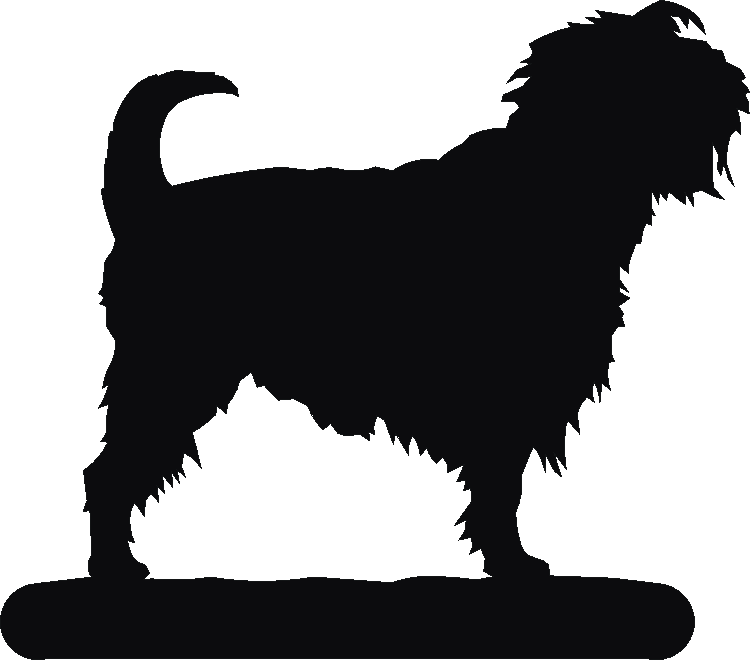 Affenpinscher Spice Carousel