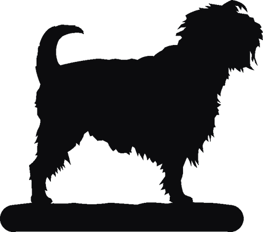 Affenpinscher Hookits