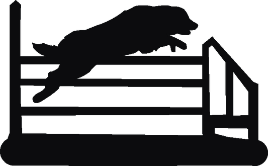 Agility Jump Post Top