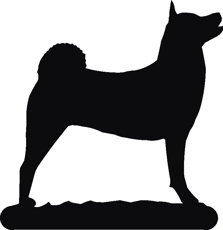 Akita Herbies