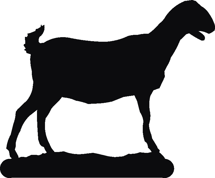 Angora Goat Thermometers