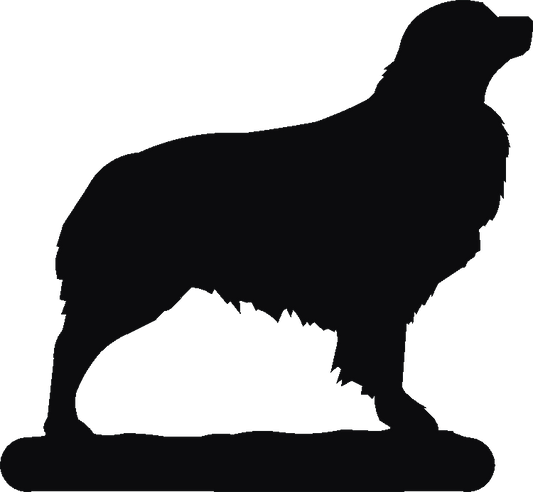 Australian Shepherd Post Top