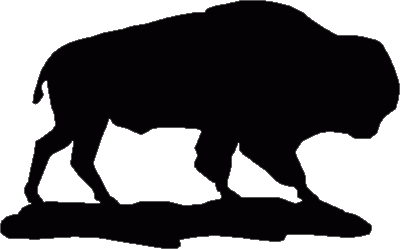Buffalo Weathervane