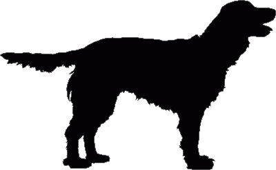 Cocker Working Weathervane