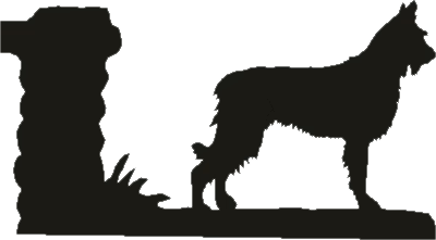 Picardy Sheepdog Weathervane