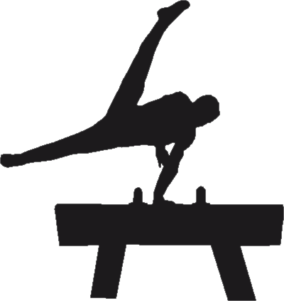 Pommel Horse Weathervane