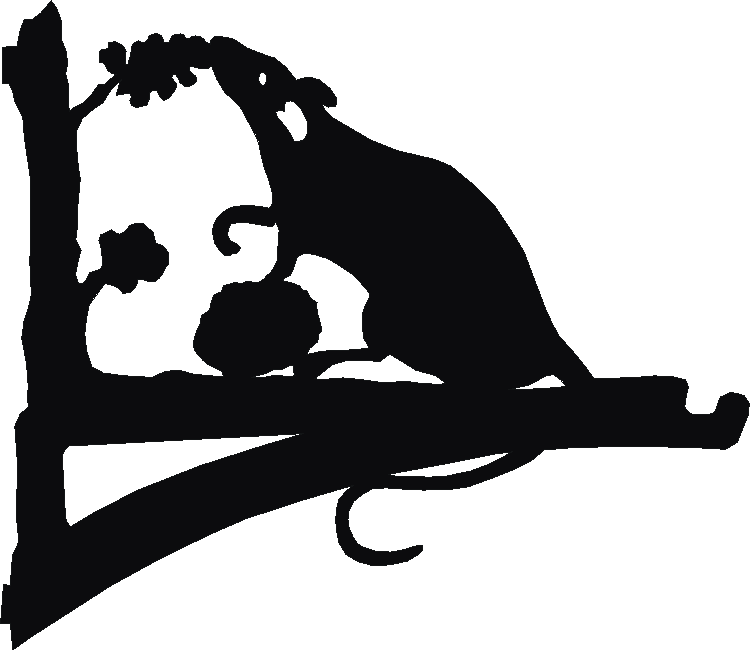 Rat Hanging Brackets