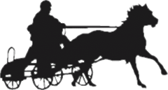Single Horse Scurry Weathervane
