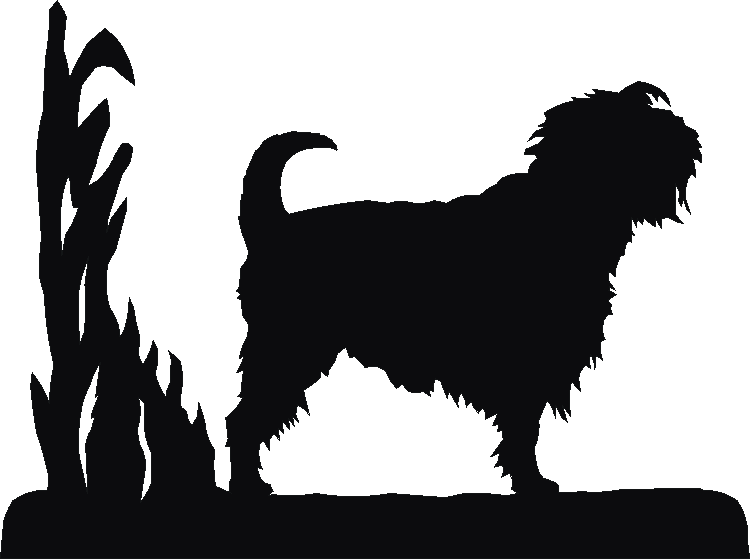 Affenpinscher Sign Plates