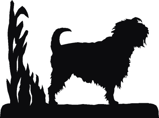 Affenpinscher Coat Racks