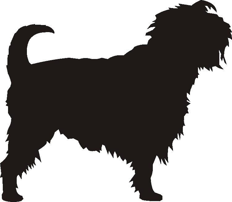 Affenpinscher Yorkshire Sign