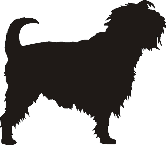 Affenpinscher Curtain Hook Backs