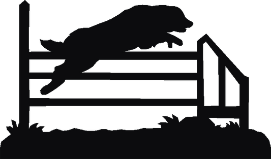 Agility Jump Silhouettes
