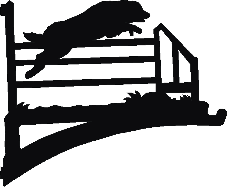 Agility Jump Hanging Brackets