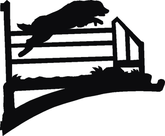 Agility Jump Hanging Brackets