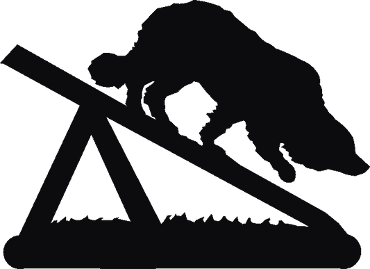 Agility Ramp Hand Stand