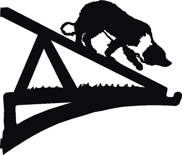 Agility Ramp Hanging Brackets