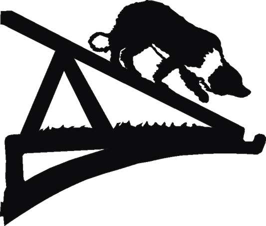 Agility Ramp Hanging Brackets