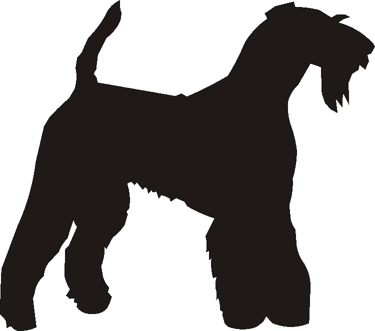 Airedale Etched Tumblers