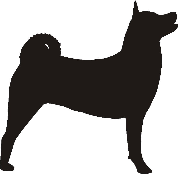 Akita Tankard