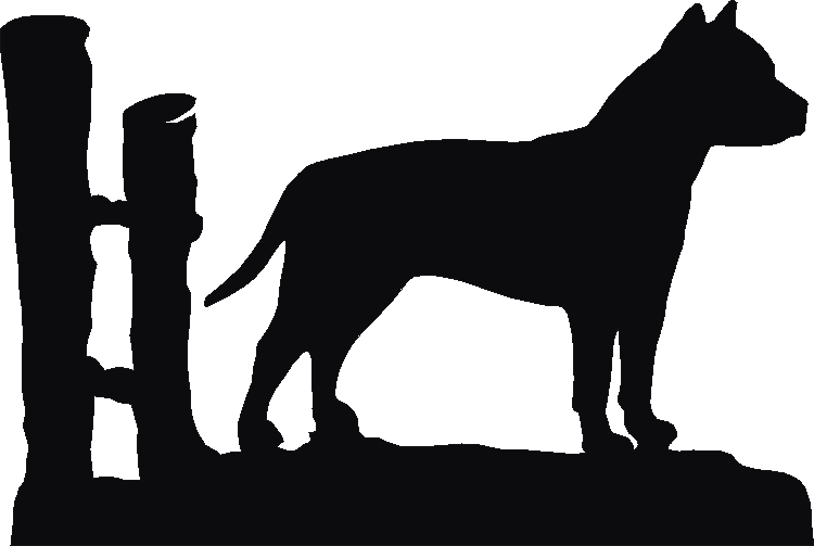 American Staffy Trivia Tray