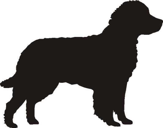 American Water Spaniel Loo Roll Holder