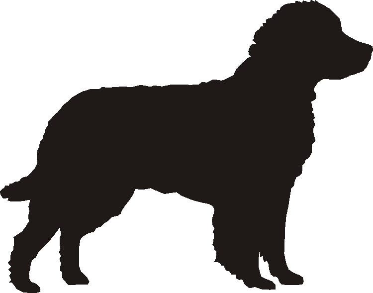 American Water Spaniel Motif Baskets
