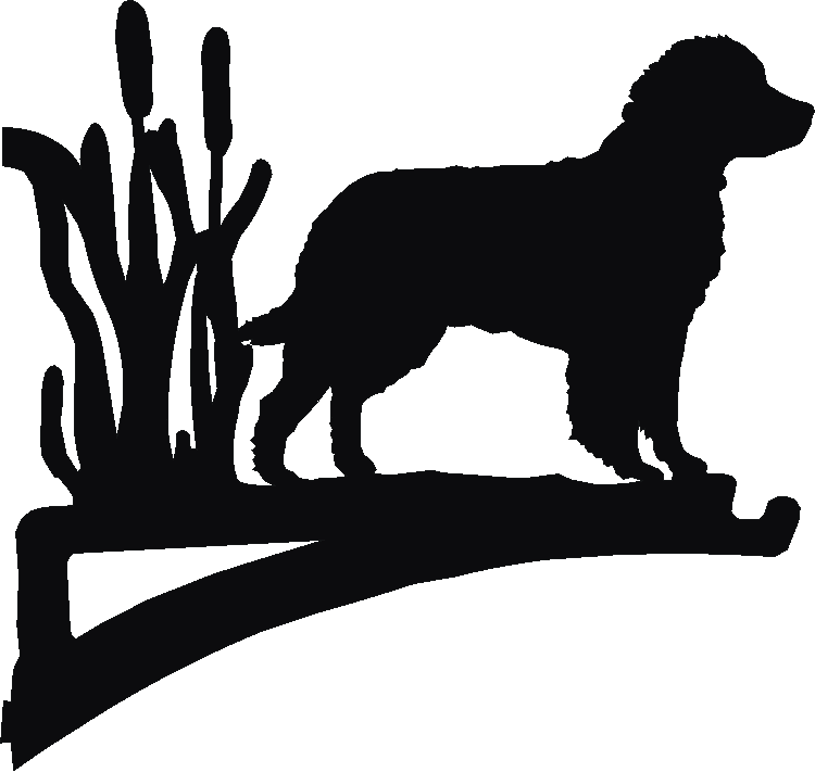 American Water Spaniel Hanging Brackets