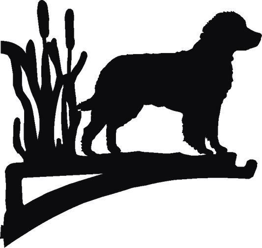 American Water Spaniel Hanging Brackets