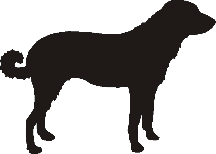 Anatolian Shepherd Wind Chimes