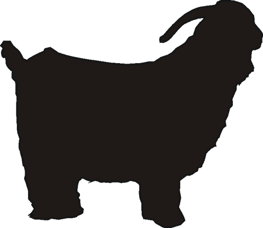 Angora Goat Curtain Hook Backs