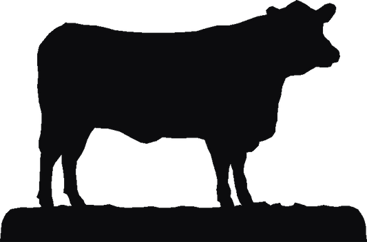 Angus Key Rack