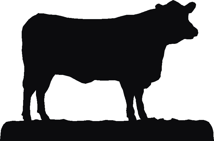 Angus Rosette Runner