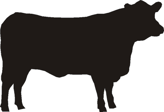Angus Silhouettes