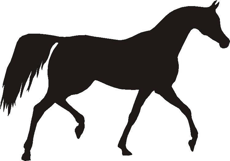 Arab Silhouettes