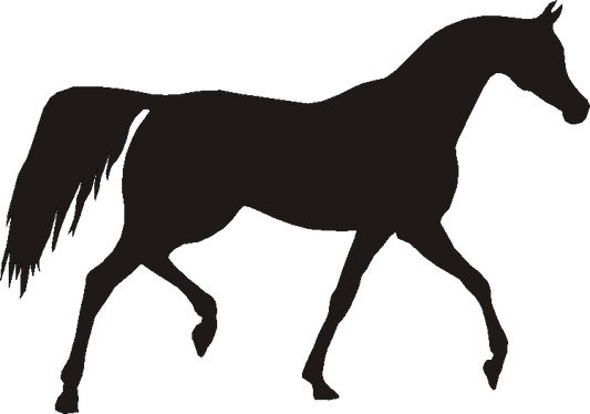 Arab Silhouettes