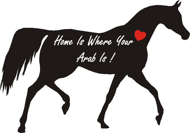 Arab Home Is...